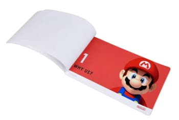 Booklet for Nintendo